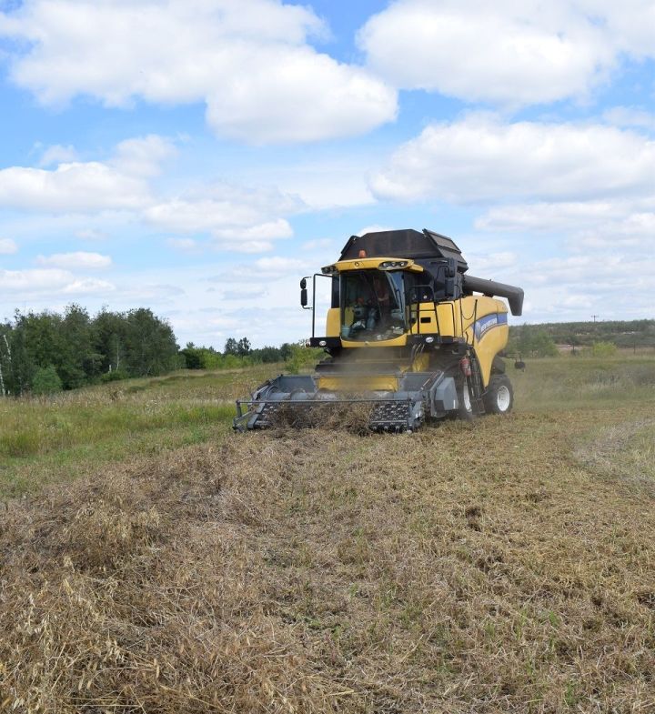 В Татарстане собрали четвертый миллион тонн зерна