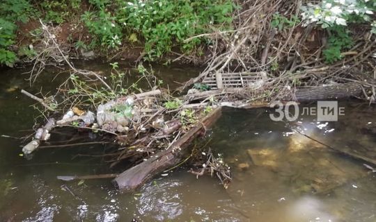 В Бугульме спасли дома от подтопления, расчистив реку от плотин