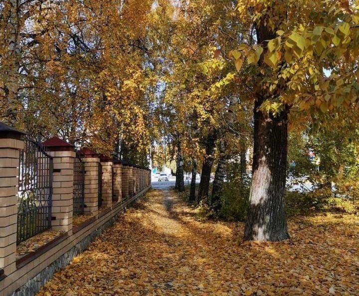 Көндәлек оператив һава торышы