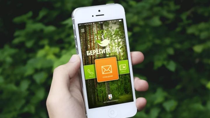 О происшествиях в лесу татарстанцы могут сообщить через мобильное приложение «Берегите лес»