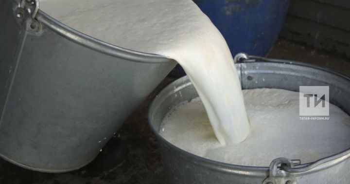 Пятая часть молочной продукции в Татарстане не соответствует нормам