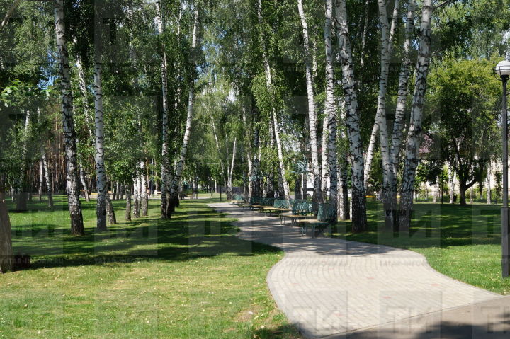 В Татарстане продолжается голосование за благоустройство парков и скверов