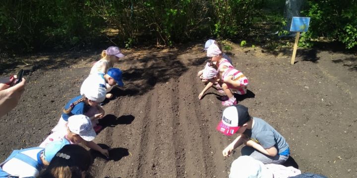 Бугульминские дошкольники посадили огород