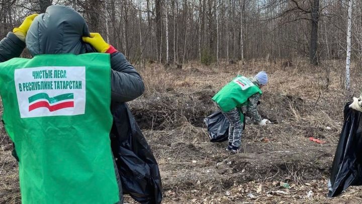 Бугульма присоединится к республиканской акции «Чистые Леса Татарстана»