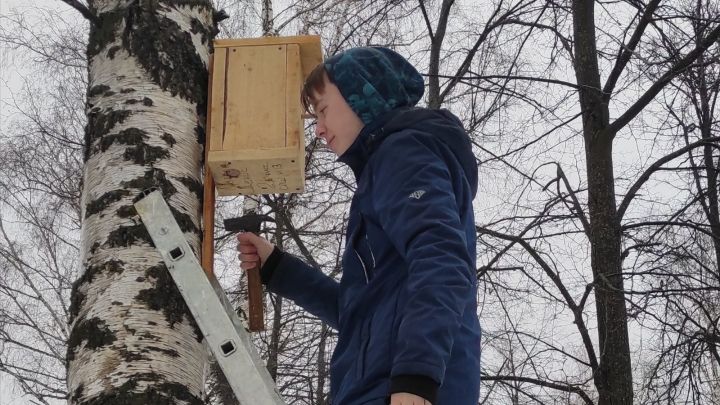 Бөгелмә кадетлары сыерчык оялары ясадылар һәм урнаштырдылар