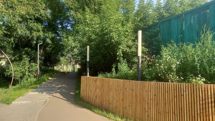 Погода в Бугульме 10 августа