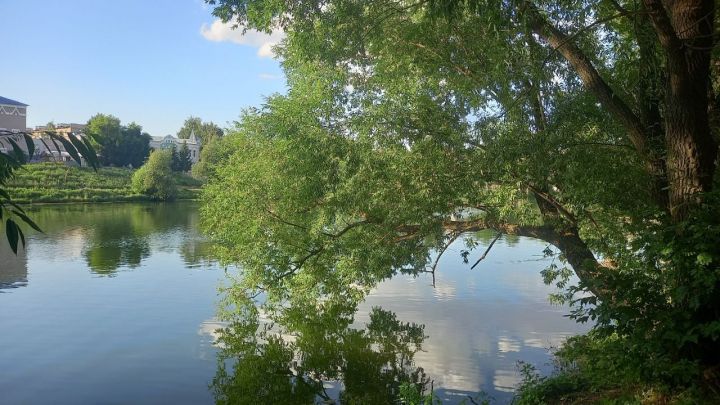 Погода в Бугульме 21 августа, воскресенье