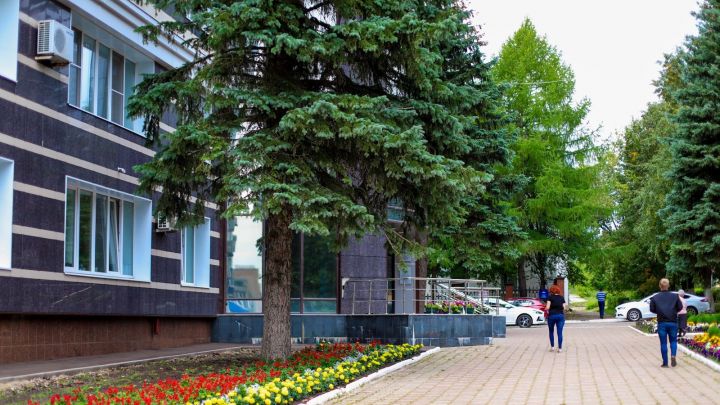 11 сентября состоятся дополнительные выборы депутатов Советов муниципальных образований Бугульминского района