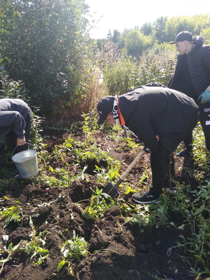 Волонтеры помогли пенсионерке собрать урожай