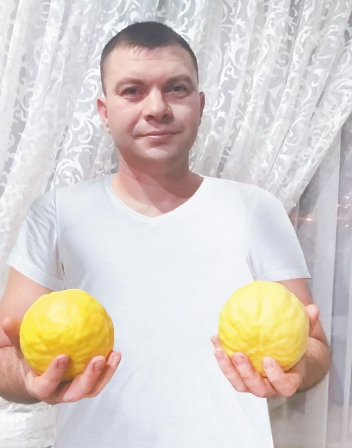 Местный житель Айрат Мифтахов выращивает лимоны в домашних условиях