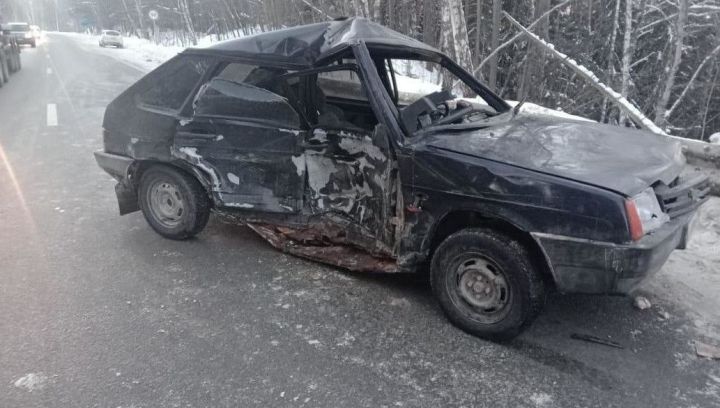 Лихач на «ВАЗе» сбил лося и влетел в «Ладу» под Елабугой