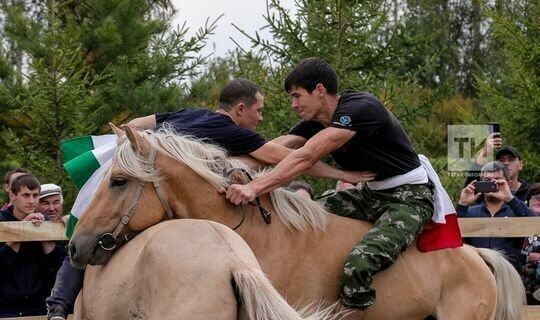 Турнир по борьбе на лошадях «Аударыш» проведут в Бугульминском районе