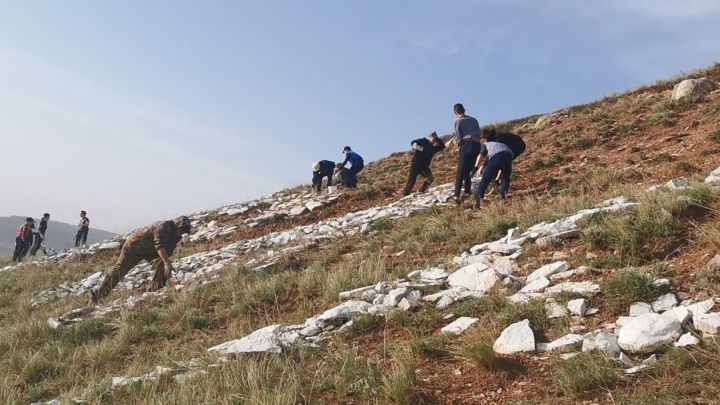 Жители Бугульминского района обновили надпись «Карабаш» на горе
