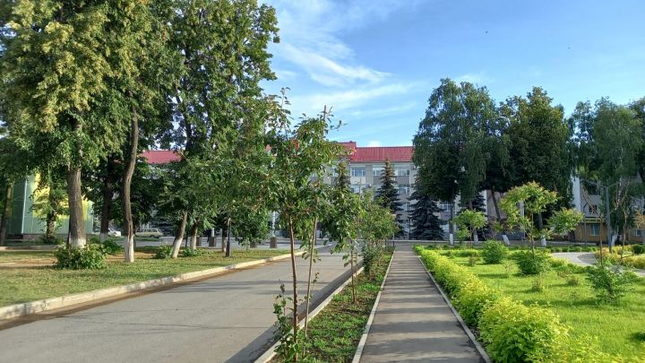 Сегодня в Бугульме переменная облачность и легкий ветер