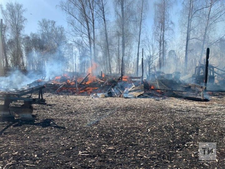 В Татарстане на неделю объявили штормовое предупреждение из-за риска лесных пожаров