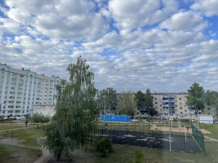 Ночью в Бугульме ожидаются заморозки