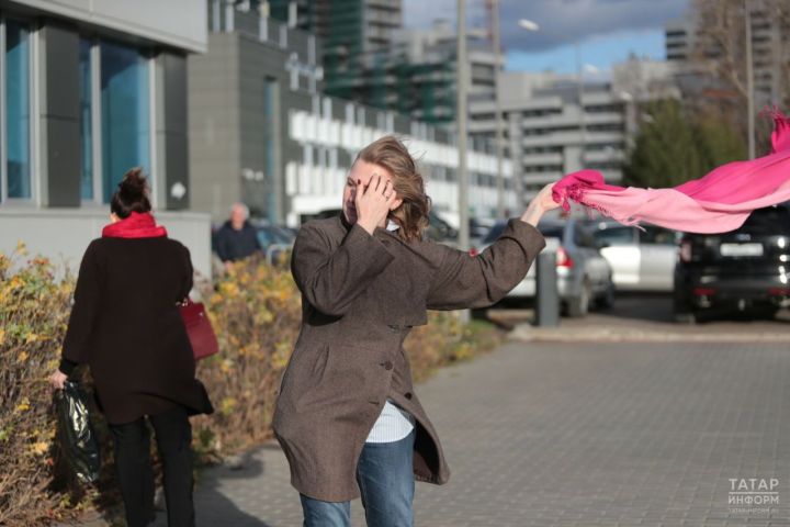 МЧС напомнило татарстанцам о правилах безопасности во время сильного ветра