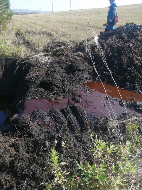 Инспекторы Минэкологии отобрали пробы на месте разлива нефтепродуктов в Бугульминском районе