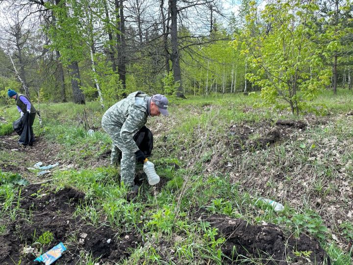 Массовая уборка лесного фонда прошла в Бугульминском районе