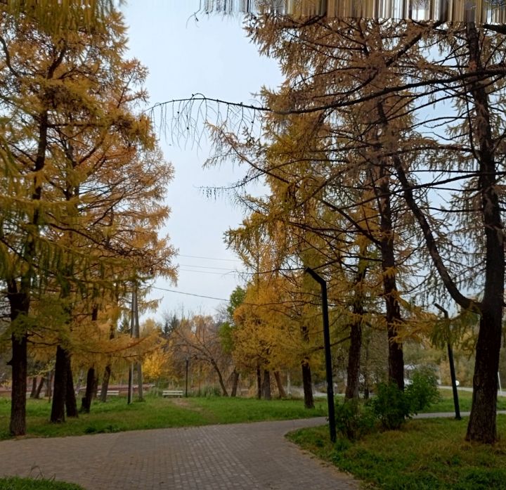 В Бугульме 13 октября переменная облачность