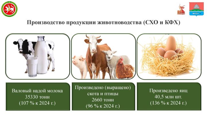 Выручка от продукции сельского хозяйства в Бугульминском районе за девять месяцев превысила 2,8 млрд рублей