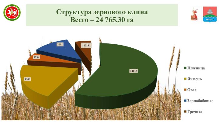 Выручка от продукции сельского хозяйства в Бугульминском районе за девять месяцев превысила 2,8 млрд рублей