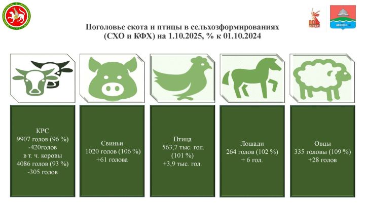 Выручка от продукции сельского хозяйства в Бугульминском районе за девять месяцев превысила 2,8 млрд рублей