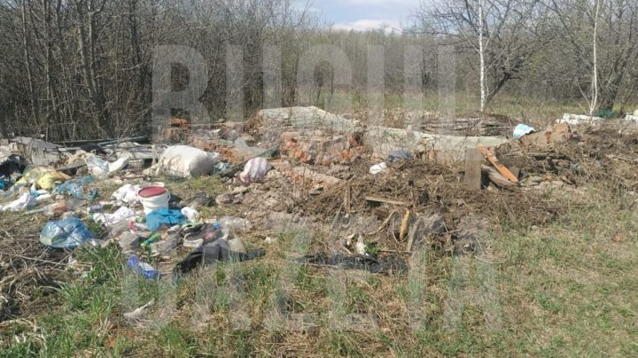 Экологи выявили в Бугульме несколько несанкционированных свалок