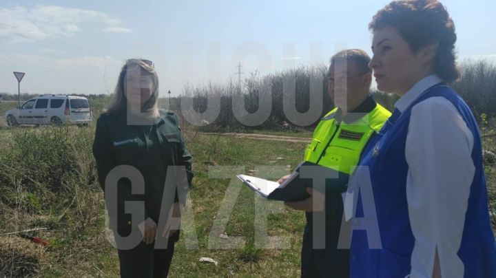 Экологи выявили в Бугульме несколько несанкционированных свалок