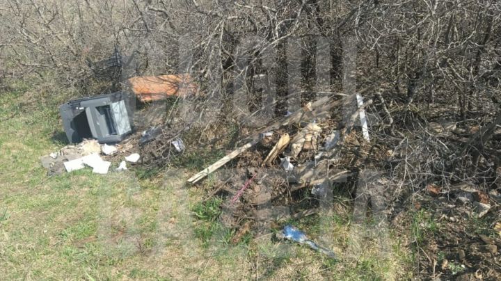 Экологи выявили в Бугульме несколько несанкционированных свалок