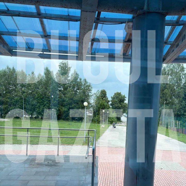 В Бугульме газон спортивного учреждения стал туалетом для двух домашних псов