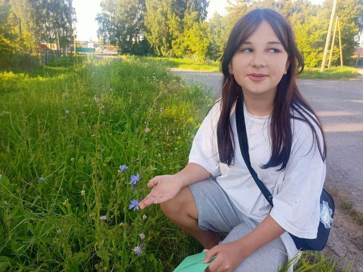 Жители Бугульминского района поделились секретами целебных трав