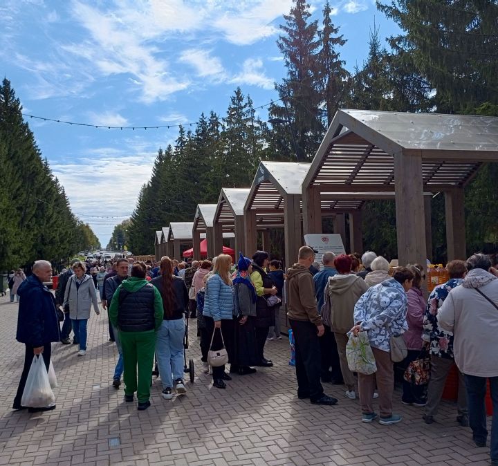 ‎В Бугульме в Единый день голосования состоялась первая осенняя сельскохозяйственная ярмарка