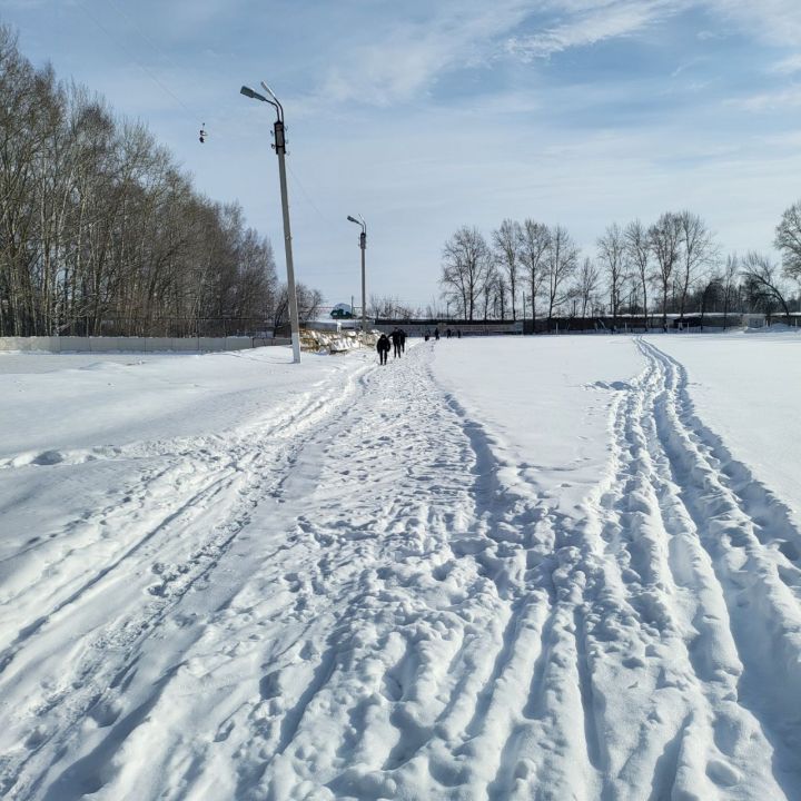 Первокурсники БМТ вышли на лыжню: более 60 студентов сдали нормы ГТО