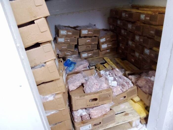 Казанда сальмонелла табылган ит продукциясен сатуны туктаттылар
