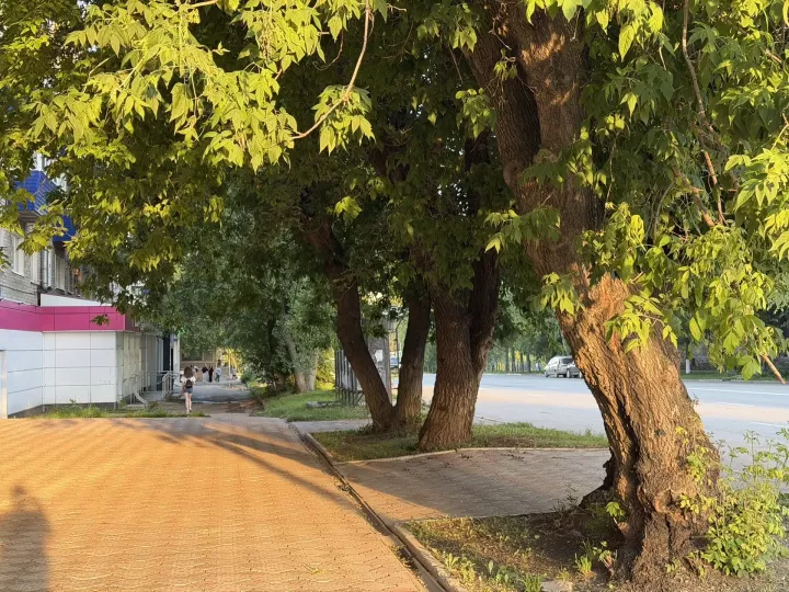 Переменную облачность прогнозируют синоптики в Бугульме 8 июля