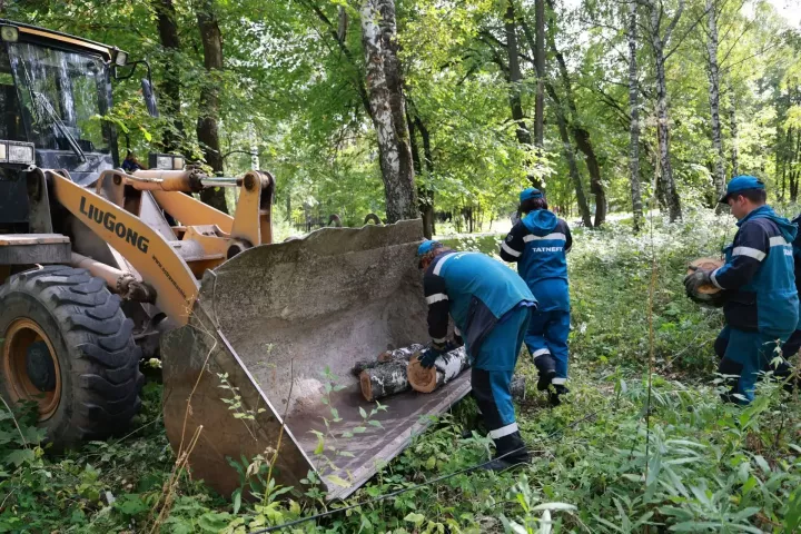 БМЗ хезмәткәрләре Морозов паркында экомарафонда катнаштылар