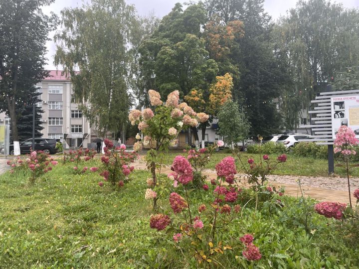 8 сентябрьдә Бөгелмәдә болытлы булачак